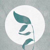 Saur Homestay logo - Similar company to Inside Outside