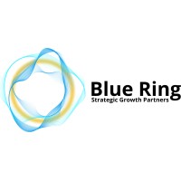 Blue Ring AI logo - Similar company to Master Of Science In Informatics & Analytics At Unc Greensboro