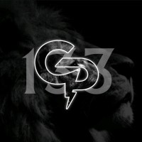 Glistening Path133 LLP logo - Similar company to Primemed Billing & Credentialing Services Llc