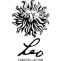 Leo Israel logo - Similar company to כל זכות (Kol Zchut)