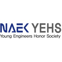 NAEK YEHS logo - Similar company to Sequor Robotics