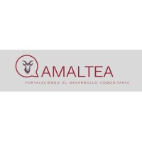 Consultora Amaltea logo - Similar company to Fedemi