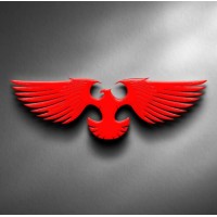 TEAM GYRFALCONS logo - Similar company to Team Durgayans