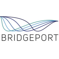 Bridgeport Consulting, LLC logo - Similar company to Watson & Yates