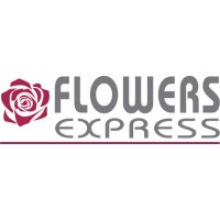 Flowers Express S.r.l. logo - Similar company to Flowex Bv