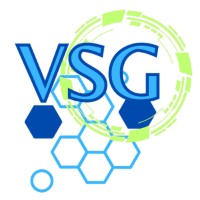 Virtual Solutions Group