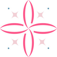 Stellar Medical Aesthetics logo - Similar company to Digital Tulip