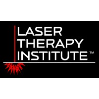 Laser Therapy Institute logo - Similar company to More Seconds