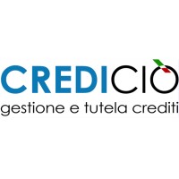 Crediciò srl logo - Similar company to Recupero Crediti Italia Di Pf Smart System
