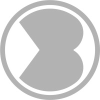 BERTON logo - Similar company to Tecsolda S.L.
