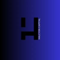 Halcyon Capital Holdings logo - Similar company to Kitara Industries