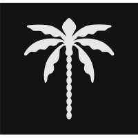 NSS Agency logo - Similar company to Venus Dea