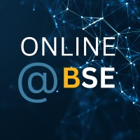 Online at BSE logo - Similar company to The Blum Center For Developing Economies