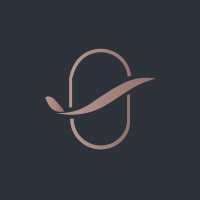 Business Skies logo - Similar company to Skywithclass