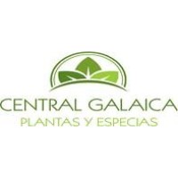 Central Galaica logo - Similar company to Tropickout