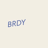 brdy logo - Similar company to Bigblu Broadband Plc