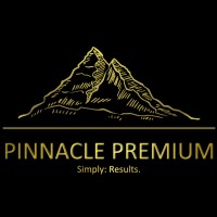Pinnacle Premium Tutors logo - Similar company to Rapidev Labs