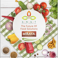 ANGT LLC / Miraya International (India) logo - Similar company to Designjet
