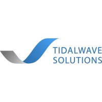 Tidalwave Solutions logo - Similar company to Tidal Wave Solutions