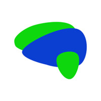Brain Network logo - Similar company to Kamipay