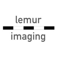 Lemur Imaging logo - Similar company to Reltech Limited