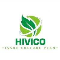HIVICO logo - Similar company to Total Parking