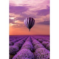Botanical Essential Oils & Culinary / Aceites Esenciales Botánicos & Culinarios logo - Similar company to Bulterra Ig