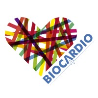 BioCardio logo - Similar company to Vasomaly