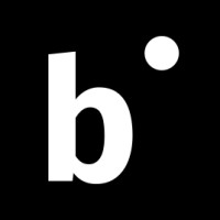 Bonn Institute logo - Similar company to Zentrum Für Digitalrechte Und Demokratie