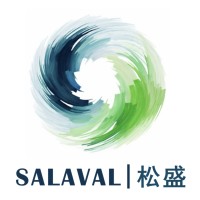 Salaval Consulting logo - Similar company to Excelfin Acquisition Corp