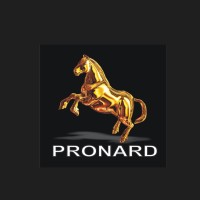 PronardGroup logo - Similar company to Constructai.Au