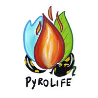 PyroLife logo - Similar company to Ewed Project
