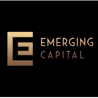 Emerging Capital Group logo - Similar company to Damh - Digital Asset Management Holding #Blockchain_Technology