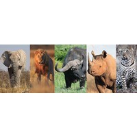 ADVENTURE TRAVEL SOUTH AFRICA logo - Similar company to Die Voortrekkers