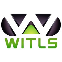 WITLS logo - Similar company to Vansha Shardha