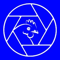 La Poule Production logo - Similar company to Studio Méli-Mélo