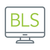 BLS IT Solutions Limited logo - Similar company to Donnari Eu