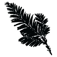 Senses Wines logo - Similar company to Raventós Codorníu North America