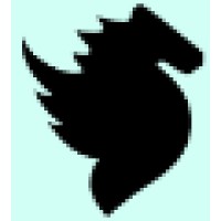 Pegasus Capital LLP logo - Similar company to Lax Capital Limited