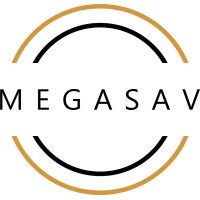 MEGASAV Bilişim Tasarım Ticaret Limited Şirketi logo - Similar company to Çapi Işləri | Promo |  Nar Print- Nar Media Group Mmc