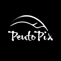 PentoPix logo - Similar company to Yuzu - Finance Data Apis & Infrastructure