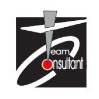 TEAM Consultants pvt.ltd logo - Similar company to Zero Dia Designs
