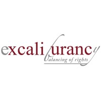 Excaliburancy logo - Similar company to Mylambdabot