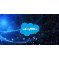 Salesforce Job Support | Freelance Project logo - Similar company to First Salesforce Job