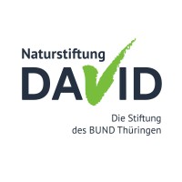 Naturstiftung David logo - Similar company to Werte-Stiftung