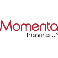 Momenta Informatics LLP logo - Similar company to Cbd It Solutions Pvt. Ltd.