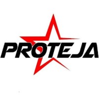 Proteja logo - Similar company to Agente Comercial De Seguros Sanlam Angola - Bernardo Francisco