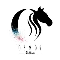 Osmoz Sellerie logo - Similar company to Lutie - Agence Google Ads