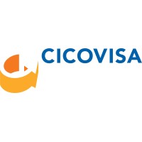 CICOVISA, S.A. DE C.V. logo - Similar company to Pc Online