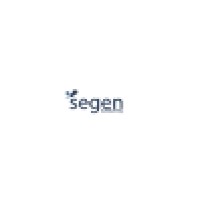 SEGEN Consulting logo - Similar company to Segen